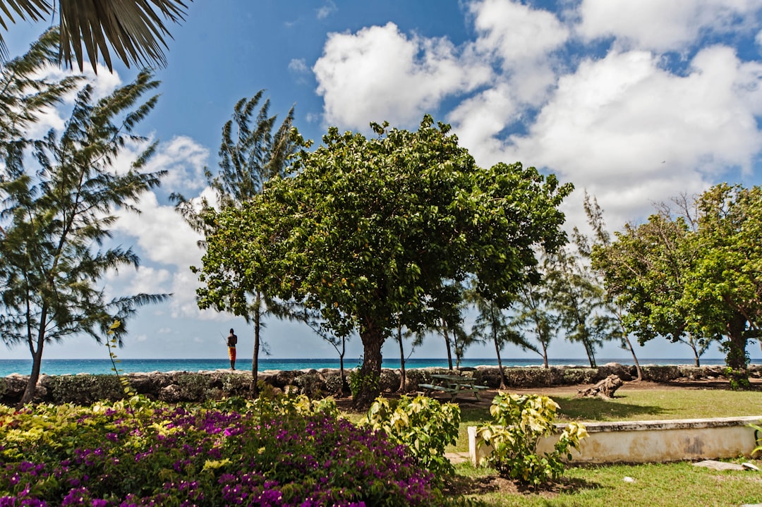 Barbados eSIM