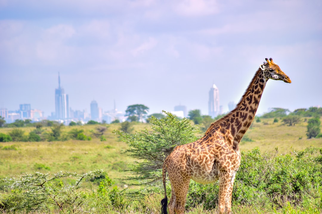 Kenya eSIM